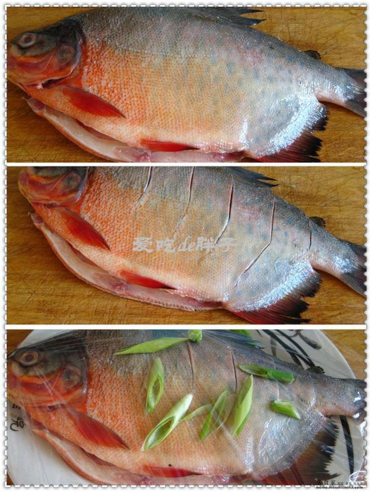 219.鲤-中国南方淡水鱼类-图片
