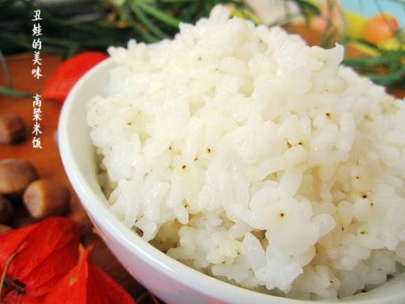 高粱米饭_白脸高粱米饭