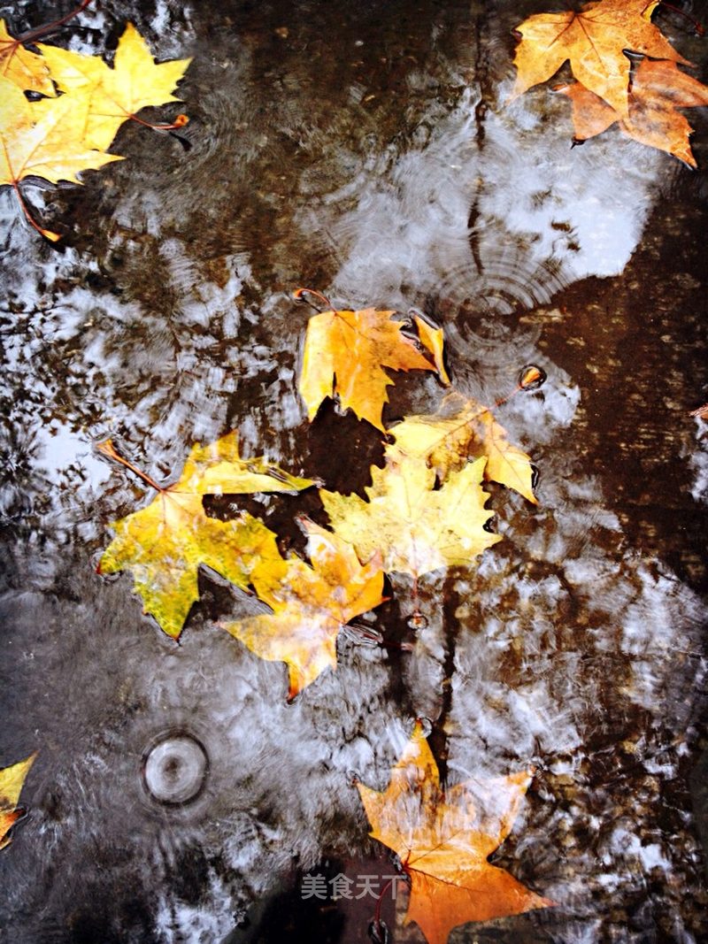 下雨天,撑着小伞,走在密密的梧桐树下,潮湿的空气中夹杂着_bestwarmth