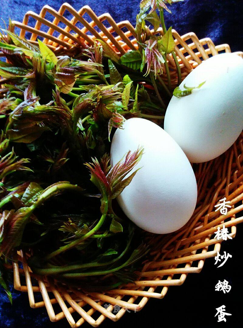 香椿炒鹅蛋——中医认为,香椿味苦,性寒,有清热解毒,健胃_兰馨蓉的