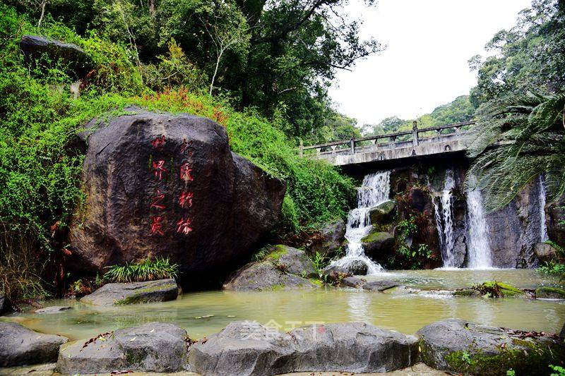 福建深度游-三明格氏栲原始森林