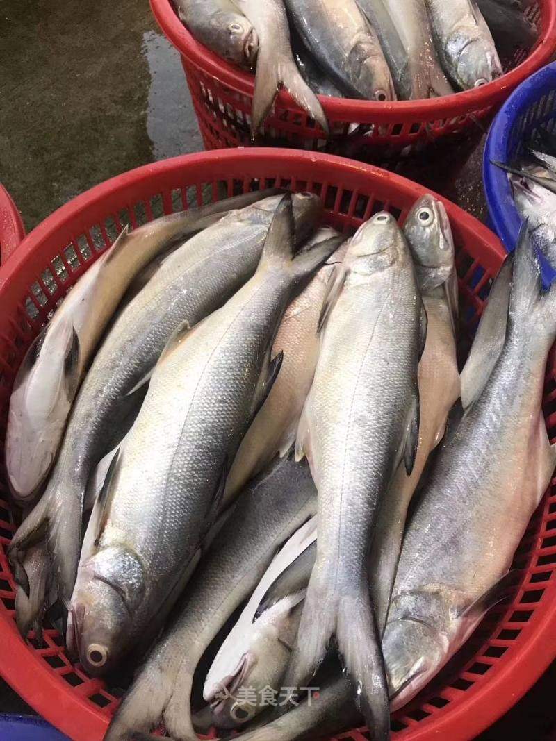 东山岛海鲜深海大午鱼马友鱼闽南特色独有味道红烧西红柿营养满满的