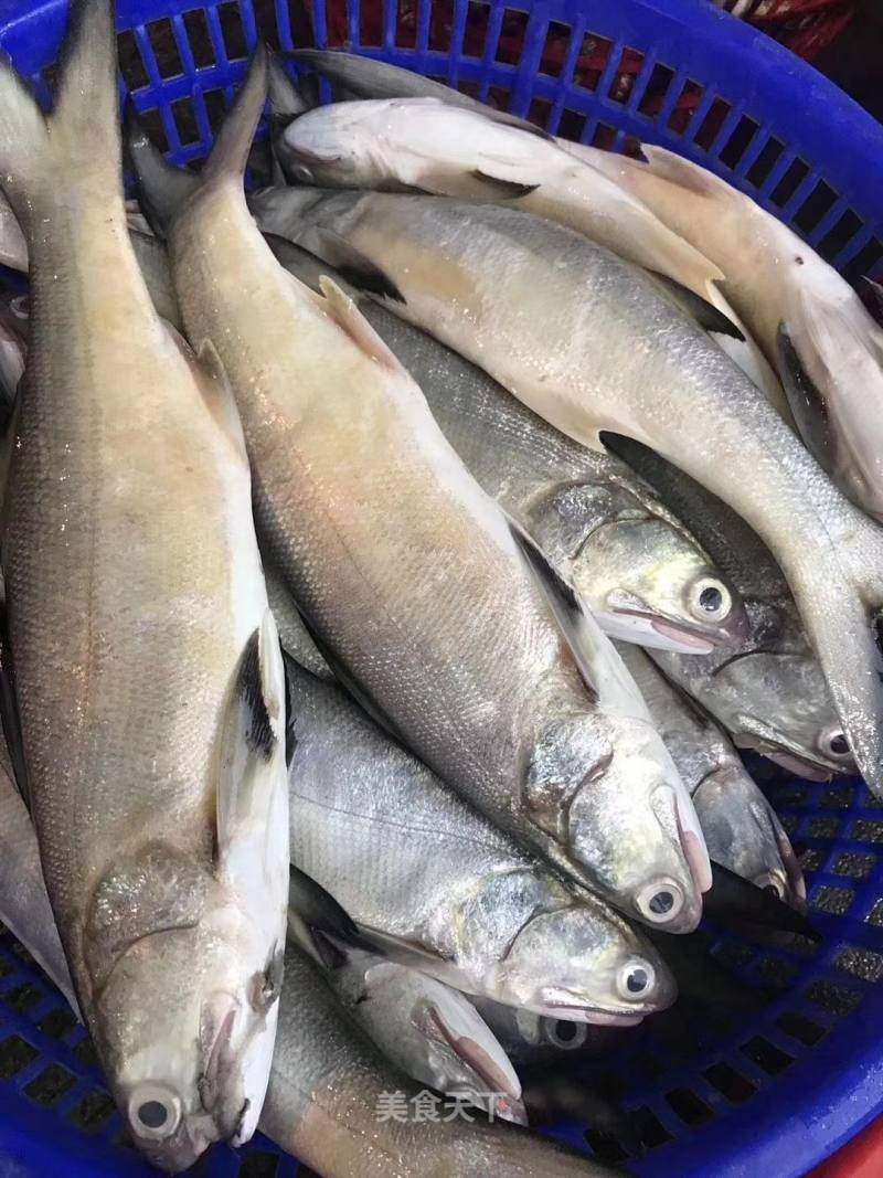 东山岛海鲜 深海大午鱼 马友鱼 闽南特色独有味道 红烧西红柿 营养