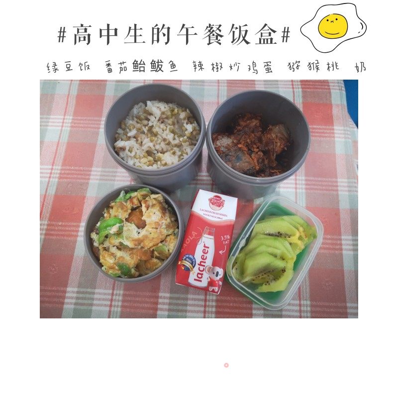 高中生的午餐饭盒