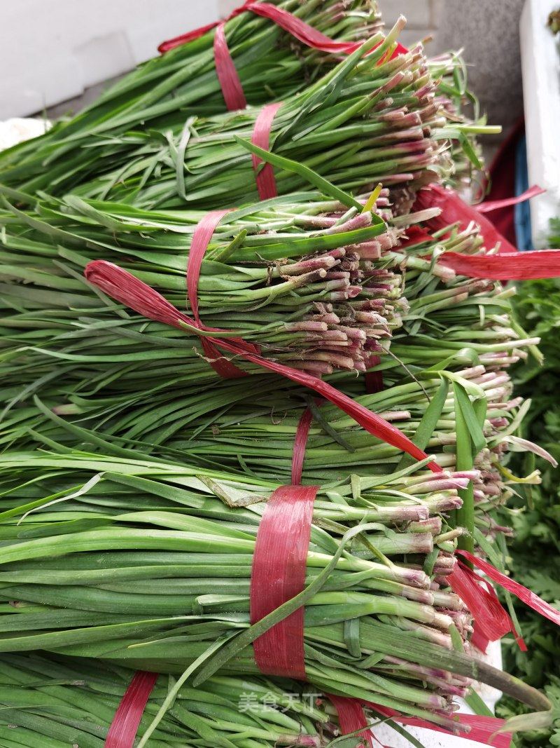 红根韭菜两元一把,好想_米拉miira的笔记_美食天下