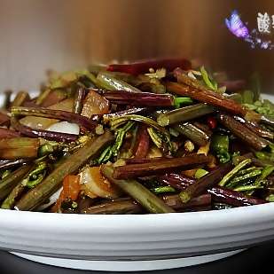 蕨菜的做法大全_蕨菜怎么做好吃_蕨菜的家常菜做法