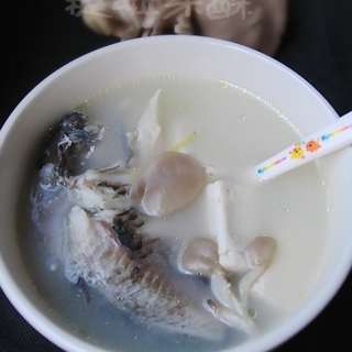 简简单单的奶白色营养汤——鲫鱼蘑菇汤