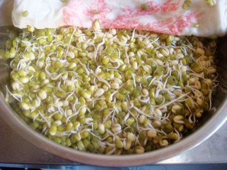 泡发绿豆芽的全过程的做法步骤:9