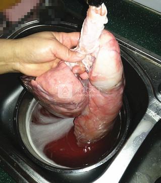 新鲜猪肺,采用灌水处理的方法清洗