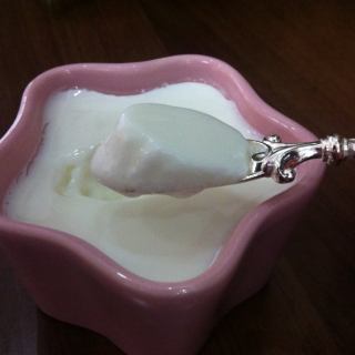 自制酸奶（面包机版）