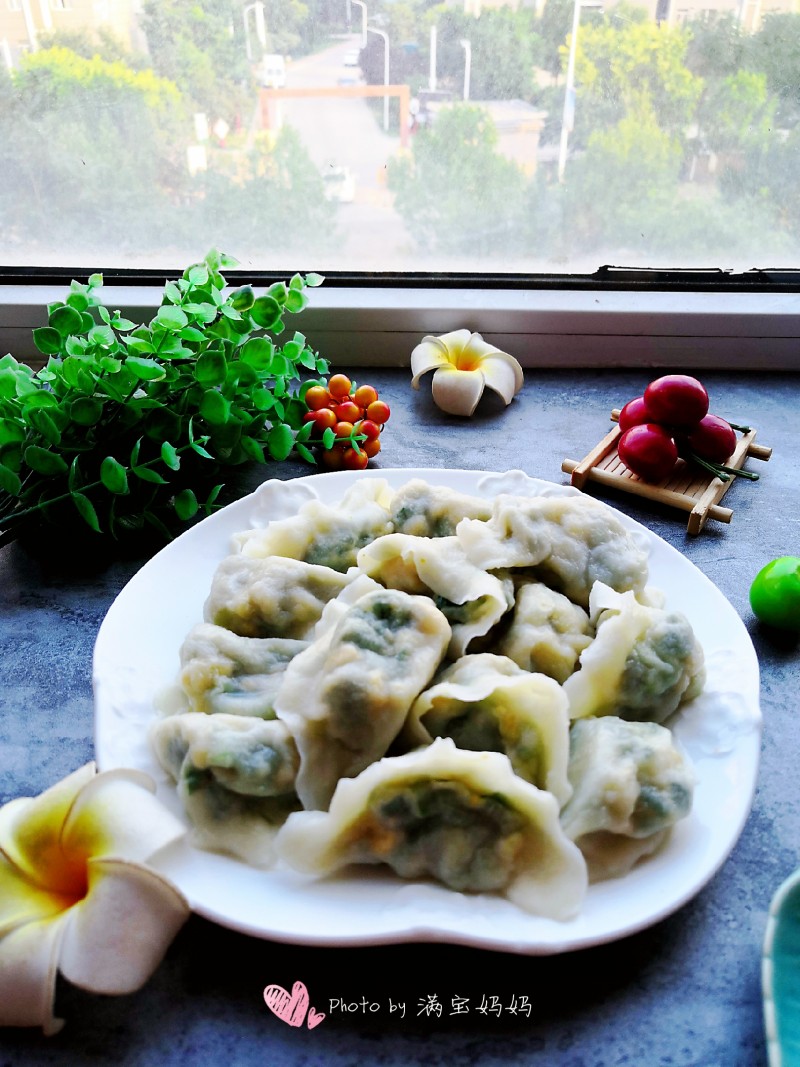 韭菜鸡蛋素饺子的做法