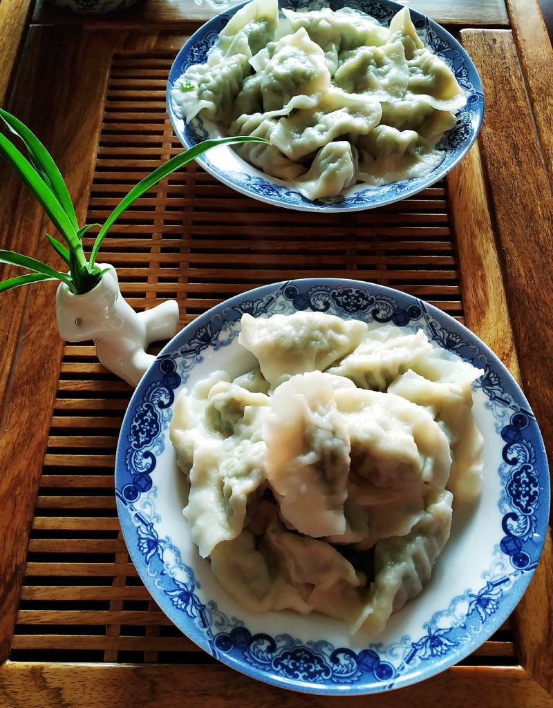 豆角肉饺子的做法