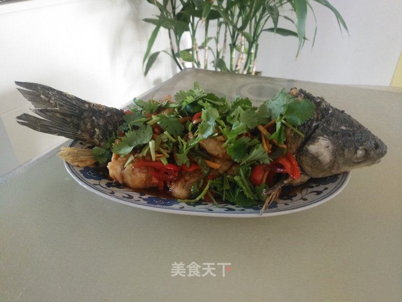 桂花鱼的做法 桂花鱼怎么做 还在吃吃吃的菜谱 美食天下