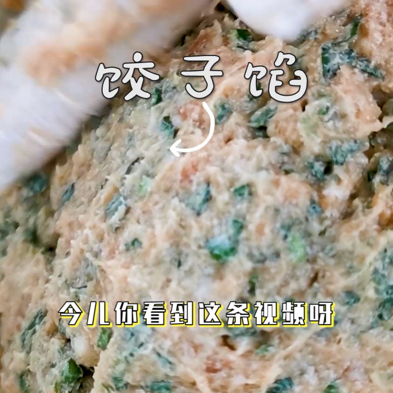 韭菜鸡蛋猪肉饺子馅的做法