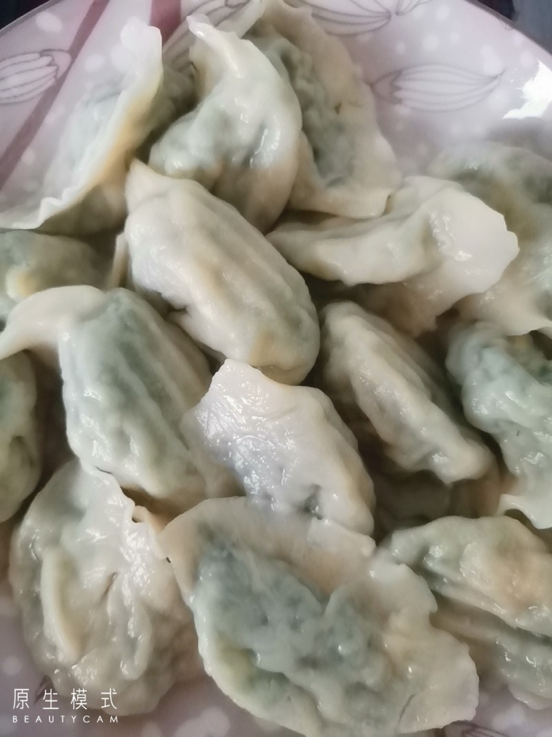 茴香鸡蛋饺子的做法