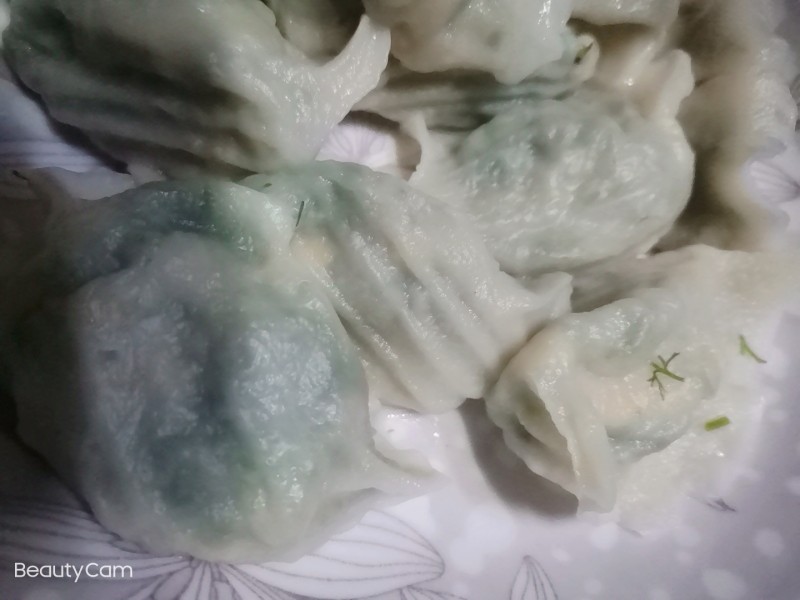 茴香鸡蛋虾皮饺子的做法