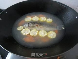 胡萝卜玉米鲫鱼汤的做法步骤：9