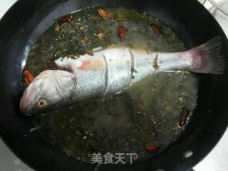 酸菜鲈鱼的做法步骤：4