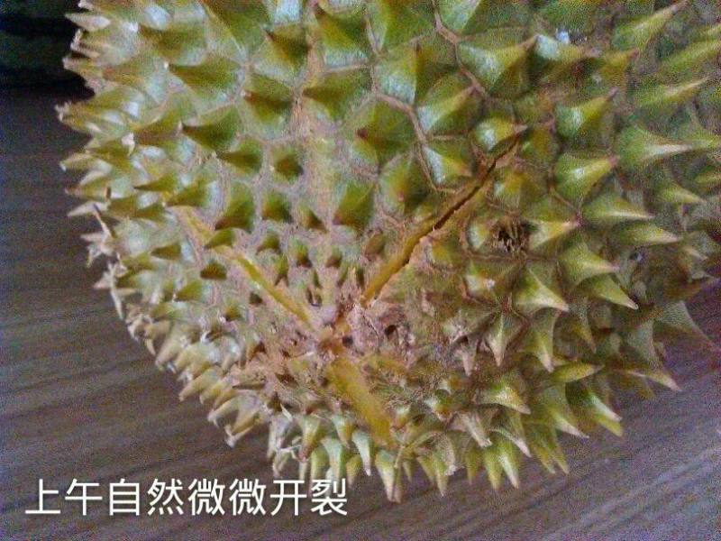 榴莲壳煲骨汤的做法步骤：10