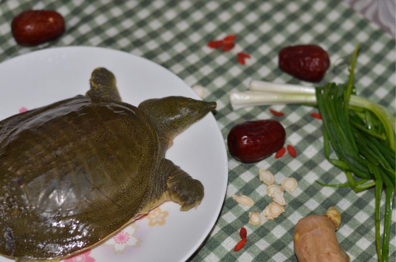 人参枣香菌菇甲鱼汤的做法步骤：1