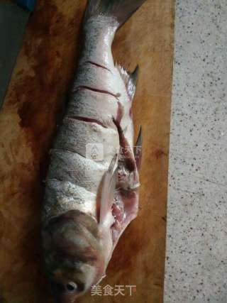 葫芦丝红烧炖花鲢鱼的做法步骤：3