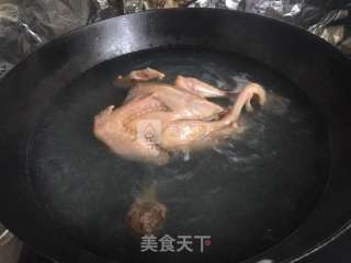 阿胶乳鸽养生汤的做法步骤：3