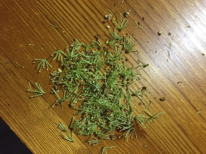 桂花蜜的做法步骤：3