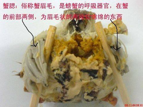 咖喱彩椒炒青蟹（多图详细）的做法步骤：12