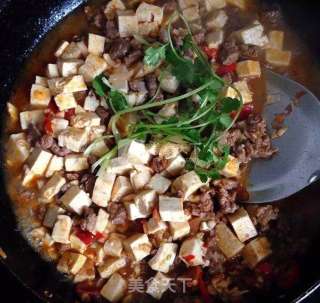 牛肉烧豆腐的做法步骤：6