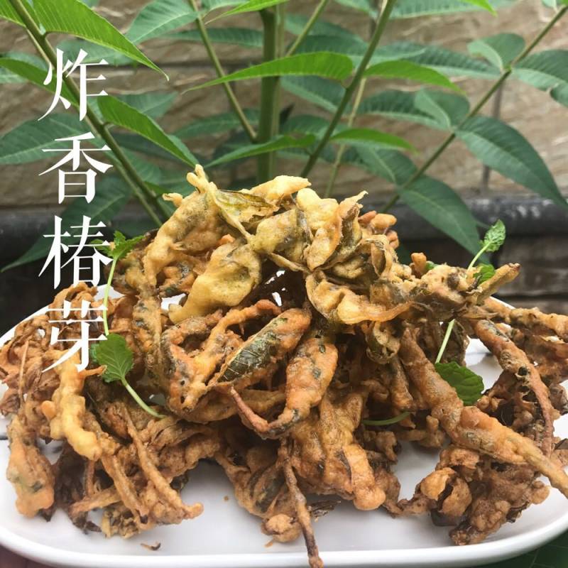 酥脆掉渣的炸香椿芽的做法步骤：9