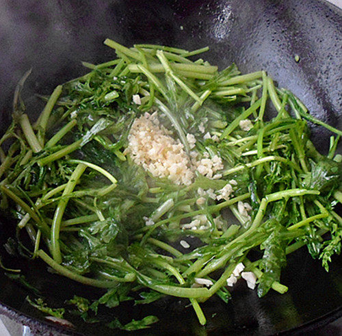 花样美食——蒜香茼蒿的做法步骤：5