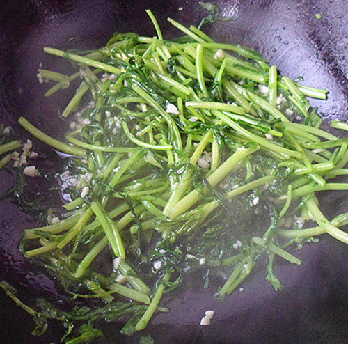 花样美食——蒜香茼蒿的做法步骤：6