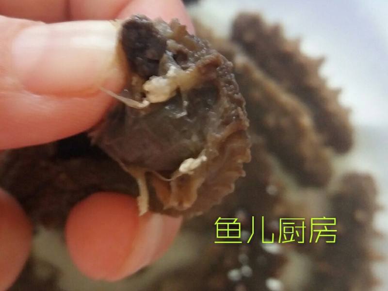 淡干海参泡发详细做法──“鱼儿厨房”私房菜的做法步骤：6