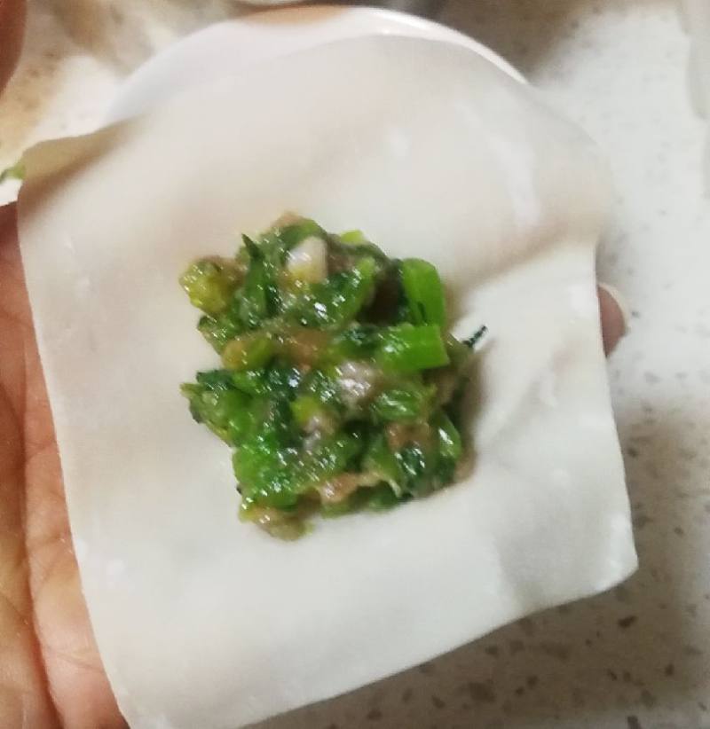 茼蒿菜馄饨的做法步骤：8