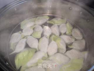 #面食#翡翠百财饺子的做法步骤：27