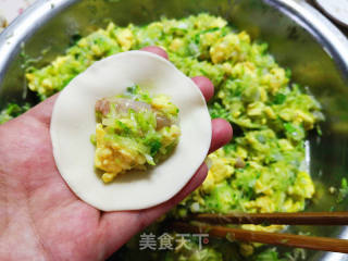 角瓜虾仁水饺的做法步骤：6
