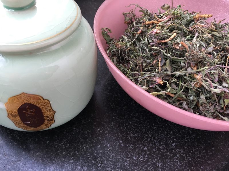 炒苦菜茶的做法步骤：4