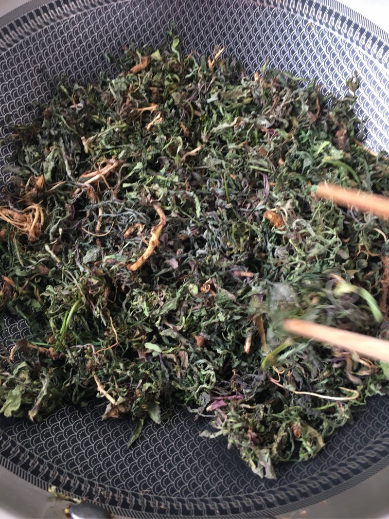 炒苦菜茶的做法步骤：7