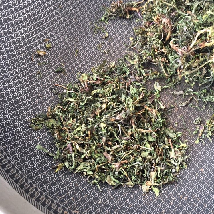 炒苦菜茶的做法步骤：11