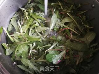 自制蒲公英茶(快蒸晾晒法)的做法步骤：3