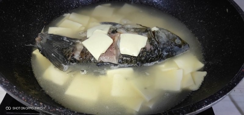 鲫鱼豆腐汤——滋补美食的做法步骤：6