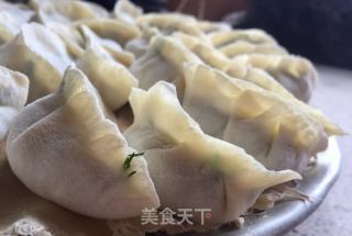 小茴香猪肉饺的做法步骤：9