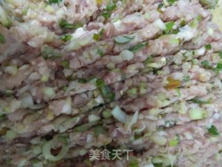 大葱猪肉水饺的做法步骤：3