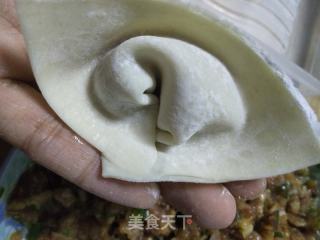 大葱猪肉水饺的做法步骤：6