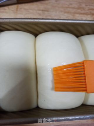 汤种北海道牛奶吐司的做法步骤：12