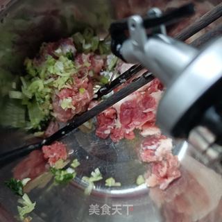 蛋抱马齿苋馄饨的做法步骤：6