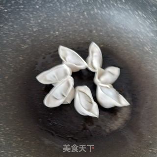 蛋抱马齿苋馄饨的做法步骤：13