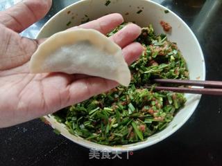 韭菜猪肉煎饺的做法步骤：7