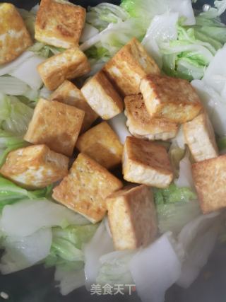 白菜豆腐炖粉条的做法步骤：9