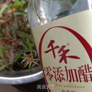 苦菜拌羊肉的做法步骤：15